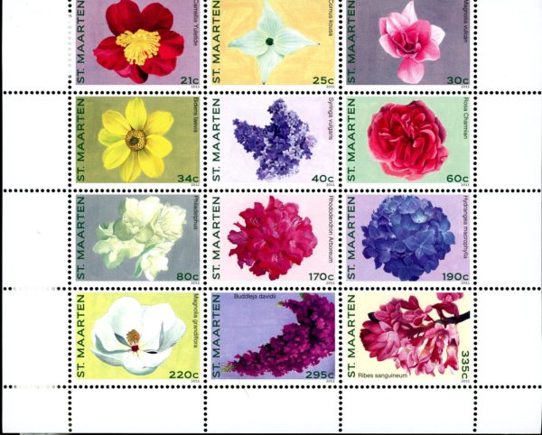 St. Martin SC#006 (2011) Flowers Block of 12 MNH