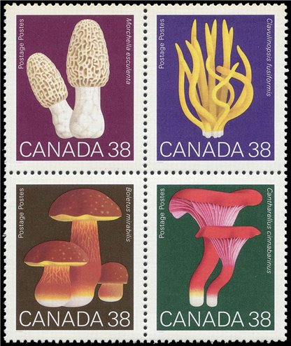 Canada Stamp PB#1248a - Mushrooms (1989) - Image 2