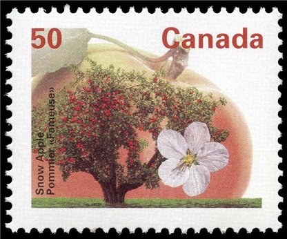 Canada Stamp #1365 - Snow Apple (1994) 50¢