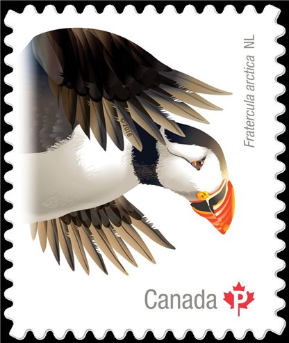 Canada Stamp #2932i - Atlantic puffin (2016) P (85¢) Die cut to shape from Quarterly Pack