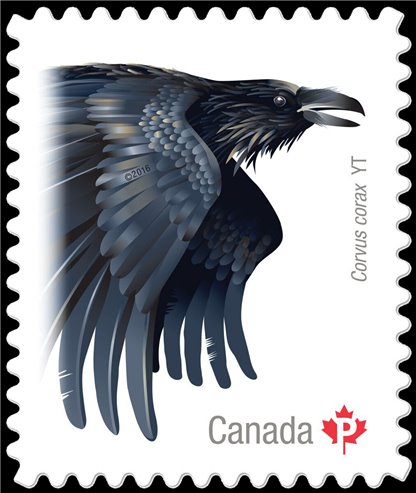 Canada Stamp #2933i - Common Raven (2016) P (85¢) Die cut to shape from Quarterly Pack