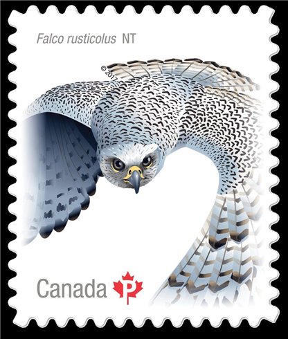 CANADA STAMP # 3019I - BIRDS OF CANADA #2 - 2017 (P)