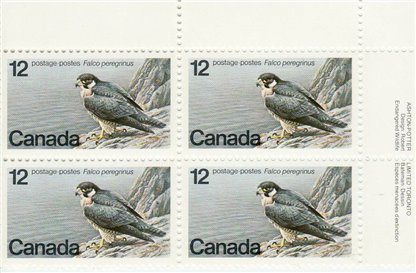 Canada Stamp PB#752III - Peregrine Falcon (1978) 12¢ (LF) - Image 2