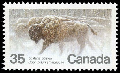 Canada Stamp #884 - Wood Bison (1981) 35¢ - Image 2