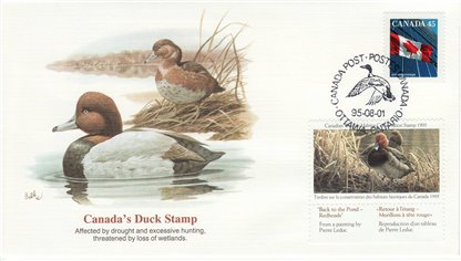 (RARE FDC) Canadian Wildlife Habitat Conservation Stamp #FWH11 - Redheads (1995)