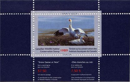 Canadian Wildlife Habitat Conservation Stamp #FWH5 - Snow Geese (1989) $7.50 - Image 3