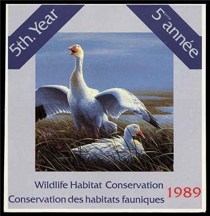 Canadian Wildlife Habitat Conservation Stamp #FWH5 - Snow Geese (1989) $7.50