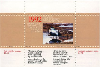 Canadian Wildlife Habitat Conservation Stamp #FWH8 - Eider Duck (1992) $8.50 - Image 3