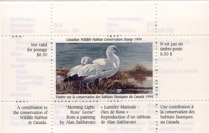 Canadian Wildlife Habitat Conservation Stamp #FWH10 - Ross Geese (1994) $8.50 - Image 3