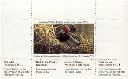 Canadian Wildlife Habitat Conservation Stamp #FWH11 - Redheads (1995) $8.50 - Image 3