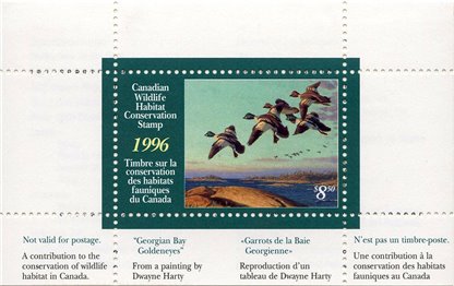 Canadian Wildlife Habitat Conservation Stamp #FWH12 - Goldeneyes (1996) $8.50 - Image 3