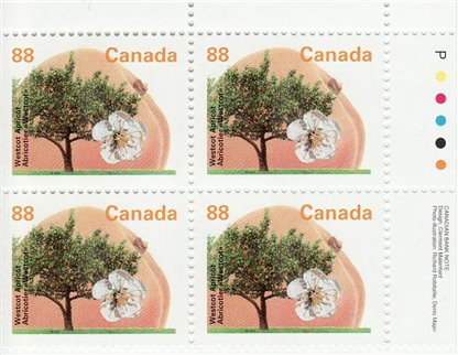 Canada Stamp #1373 - Westcot Apricot (1994) 88¢ - Image 2