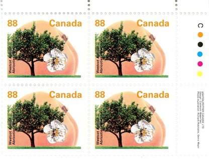 Canada Stamp #1373ii - Westcot Apricot (1994) 88¢ - Image 2