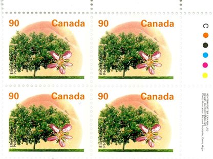 Canada Stamp PB#1374i - Elberta Peach (1995) 90¢ - Image 2