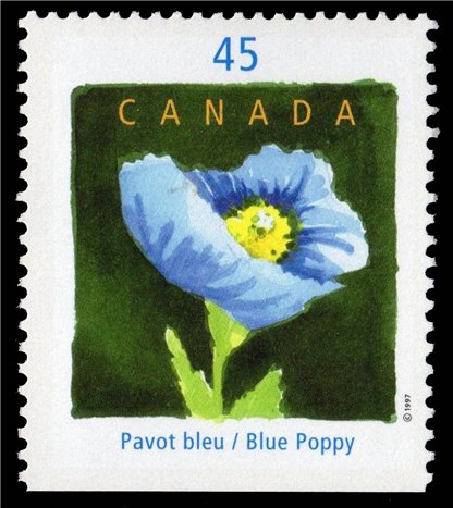 Canada Stamp #1638i - Blue Poppy, by Claude A. Simard (1997) 45¢ - Image 2