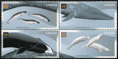 Canada Stamp #1871a - Whales (2000) 4 x 46¢ - Image 2