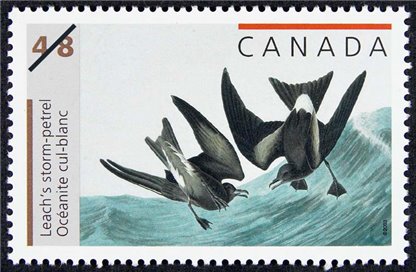 Canada Stamp #1979 - Leach's storm-petrel (2003) 48¢