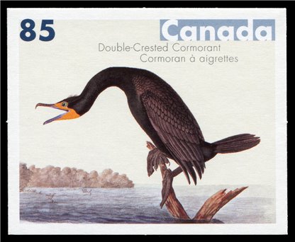 Canada Stamp #2099 - Double-Crested Cormorant (2005) 85¢ - Image 2