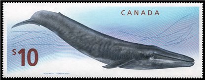 Canada Stamp #2405 - Blue Whale (2010) - Image 2