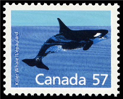 Canada Stamp #1173 - Killer Whale (1988) 57¢ - Image 2