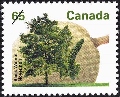 Canada Stamp #1367 - Black Walnut (1991) 65¢ - Image 2