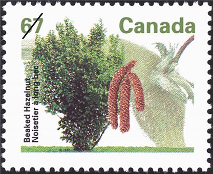 Canada Stamp #1368 - Beaked Hazelnut (1992) 67¢ - Image 2