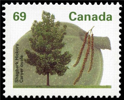 Canada Stamp #1369 - Shagbark Hickory (1994) 69¢ - Image 2