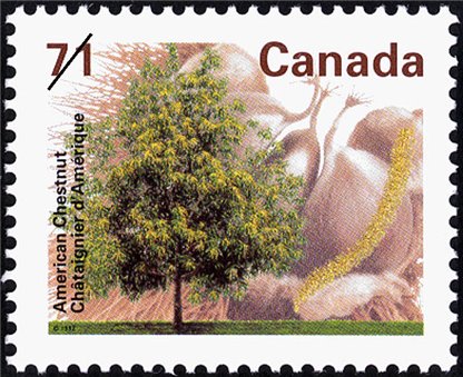 Canada Stamp #1370 - American Chestnut (1995) 71¢