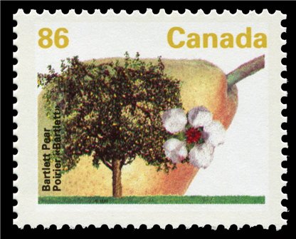 Canada Stamp #1372i - Bartlett Pear (1992) 86¢ - Image 2