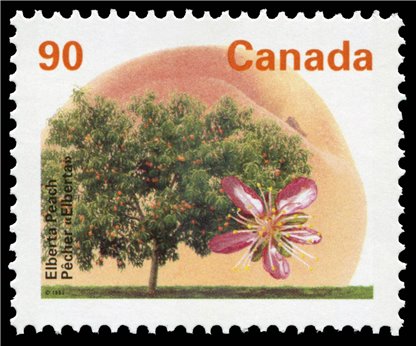 Canada Stamp #1374 - Elberta Peach (1995) 90¢