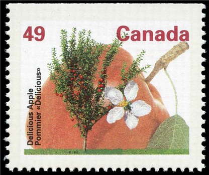 Canada Stamp #1364a - Delicious Apple (1992) 49¢ - Image 2