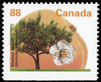 Canada Stamp #1373as - Westcot Apricot (1994) 88¢ - Image 2