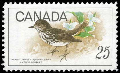 Canada Stamp #498 - Hermit Thrush (1969) 25¢ - Image 2