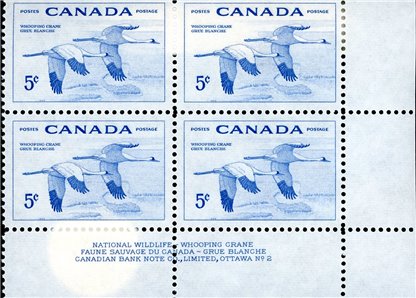 Canada PB#353 - Whooping Cranes (1955) 5¢ - Image 2