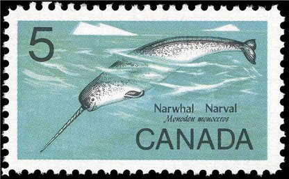 Canada Stamp #480i - Narwhal (1968) 5¢ - Image 2