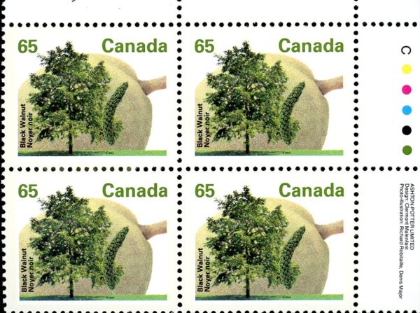 Canada Stamp PB#1367 - Black Walnut (1991) 65¢