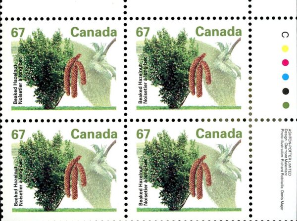 Canada Stamp PB#1368 - Beaked Hazelnut (1992) 67¢