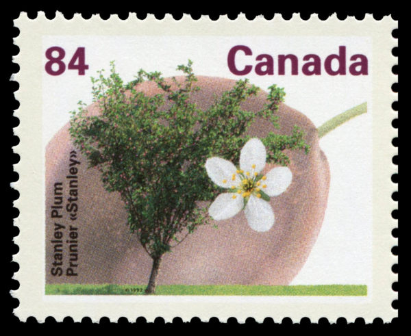 Canada stamp #1371 - Stanley Plum (1991) 84¢