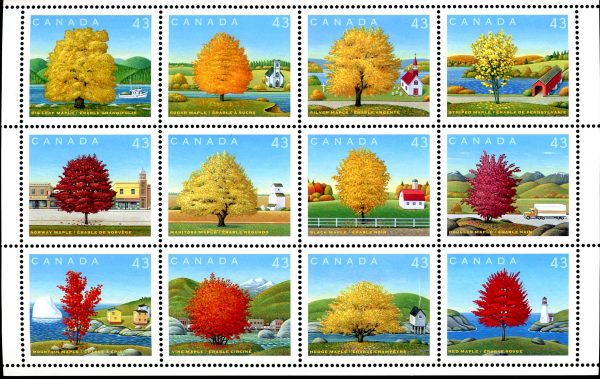 Canada Stamp #1524 - Canada Day-Maple Trees (1994) 12 x 43¢ (MF) (Field Stock)