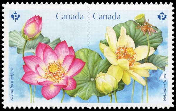 Canada Stamp #3091i - Lotus (2018) 2 x P (85¢) Se-tenant Pair (3090, 3091), die cut to shape from Quarterly Pack