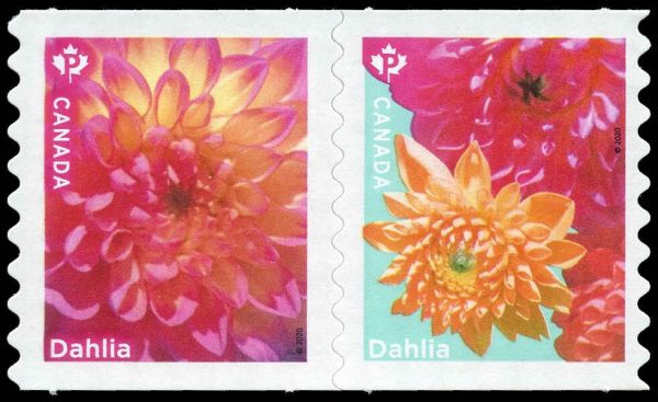 Canada Stamp #3236iii - Dahlia (2020) 2 x P (92¢) Se-tenant pair, die cut to shape from Quarterly Pack