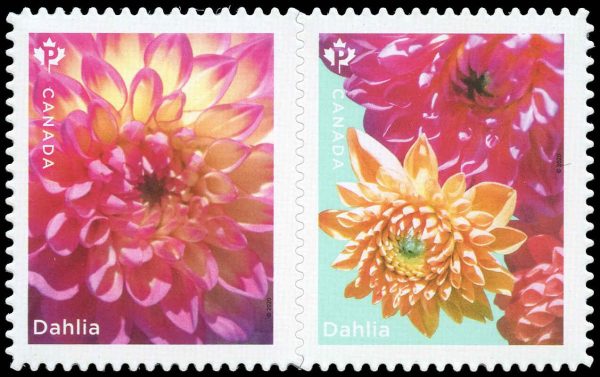 Canada Stamp #3238i - Dahlia (Yellow, pink flowers) (2020) 2 x P (92¢) Se-tenant pair, die cut to shape from Quarterly Pack