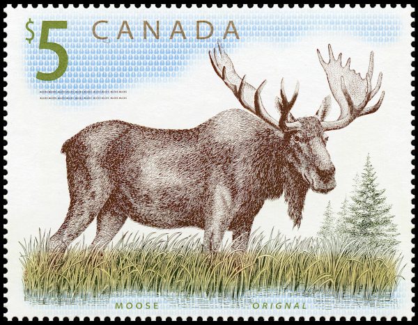 Canada Stamp #1693 - Moose (2003) $5