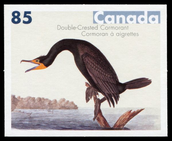 Canada Stamp Booklet - #BK310 - Double-Crested Cormorant (2005) 6 x 85¢ - Image 2