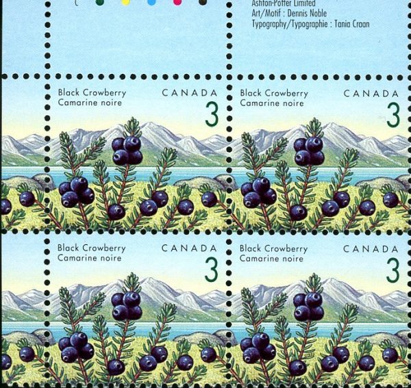 Canada Stamp PB#1351iii - Black Crowberry (1992) 3¢