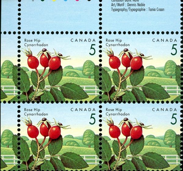 Canada Stamp PB#1352i - Rose Hip (1992) 5¢