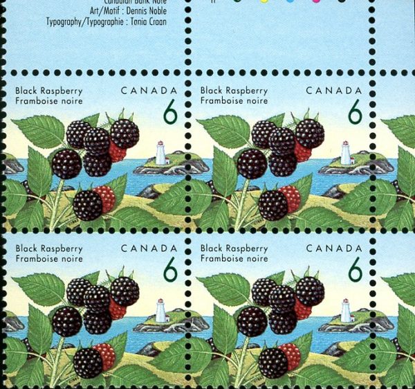 Canada Stamp PB#1353ii - Black Raspberry (1992) 6¢