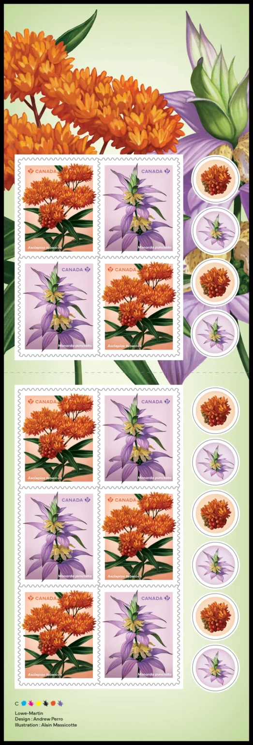 Canada Stamp #3417a - Wildflowers (2024) $9.20 Booklet pane of 10 stamps (5 x #3416-7)